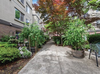 Lush landscaping at Boardwalk Senior Apartments